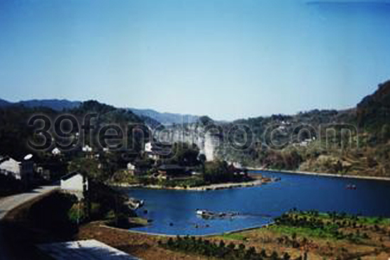 桑植縣舉辦蜜蜂養(yǎng)殖實(shí)用技術(shù)培訓(xùn)班 推動(dòng)政策引進(jìn)助力產(chǎn)業(yè)發(fā)展